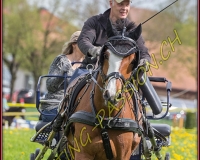 1POSIEUX 0602